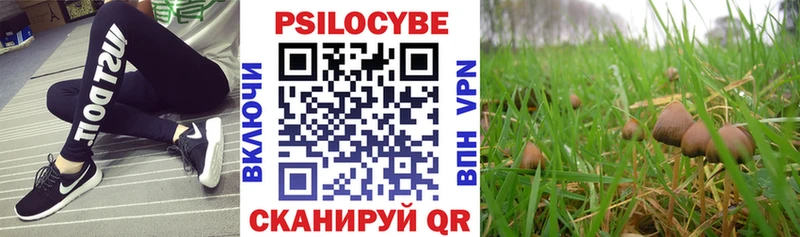Галлюциногенные грибы Cubensis  Купить где  Верхняя Пышма 